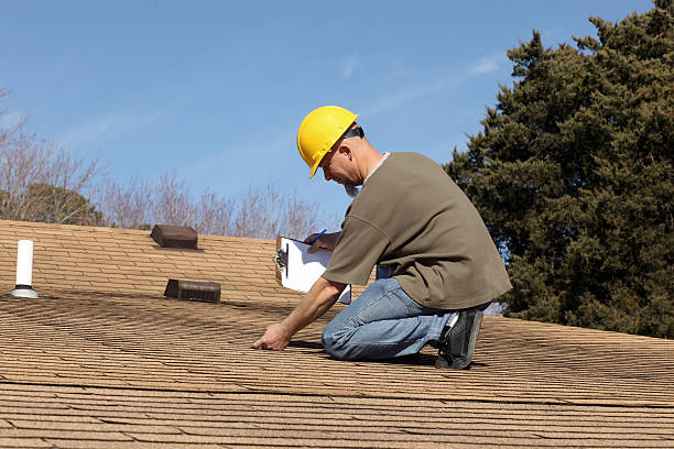 Best Gutter Installation and Repair  in Halls, TN